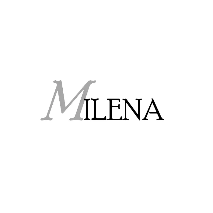 MILENA earrings Silver and Onyx Elegant Drop